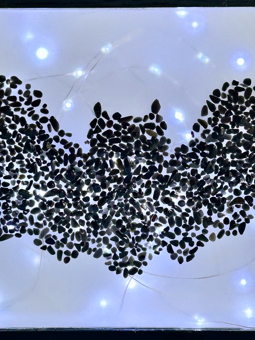 Black Obsidian Bat Crystal Chips Light Box